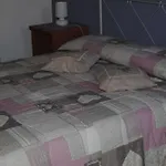 I Grappoli Bauernhof Serralunga d'Alba