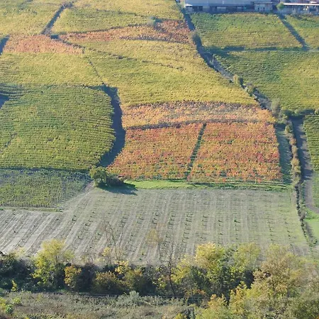 I Grappoli Farm stay *