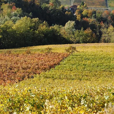 I Grappoli Alloggio per agriturismo *