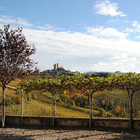 农家乐 I Grappoli *