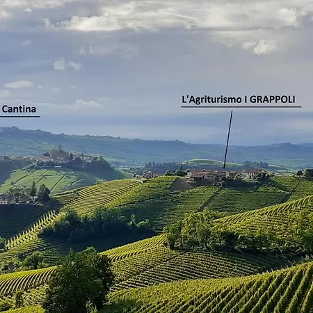 Alloggio per agriturismo I Grappoli